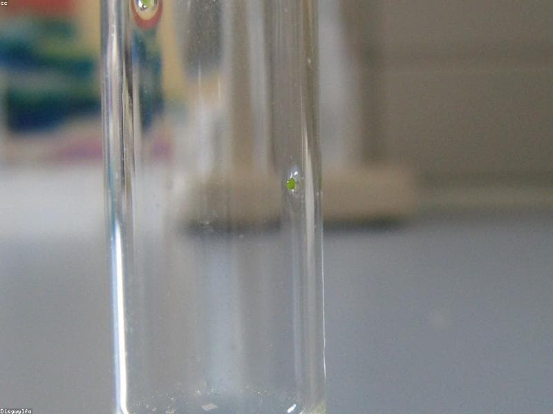 Molecular Biology